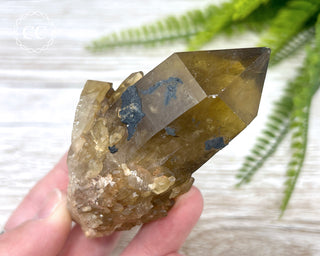 Congo Citrine #24