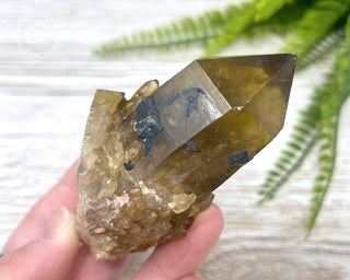 Congo Citrine #24