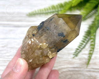 Congo Citrine #24