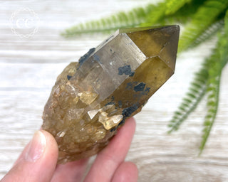 Congo Citrine #24