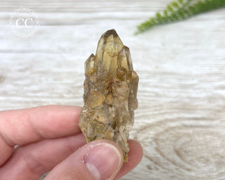 Congo Citrine #26