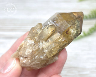 Congo Citrine #17