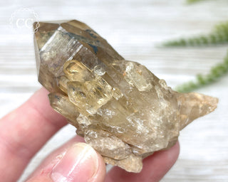 Congo Citrine #17