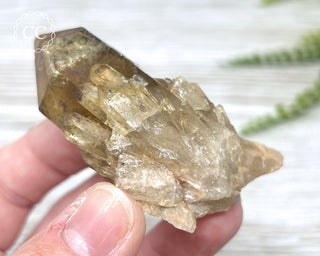 Congo Citrine #17