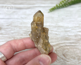 Congo Citrine #26