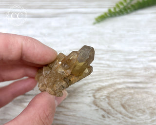 Congo Citrine #26