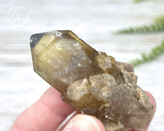 Congo Citrine #19