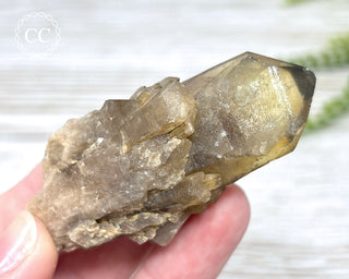 Congo Citrine #19