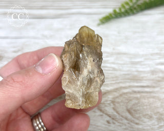 Congo Citrine #26