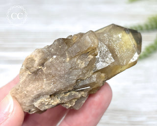 Congo Citrine #19