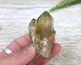 Congo Citrine #27