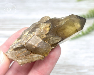 Congo Citrine #19