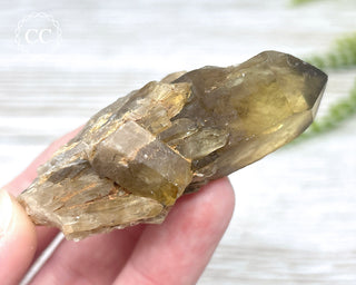 Congo Citrine #19