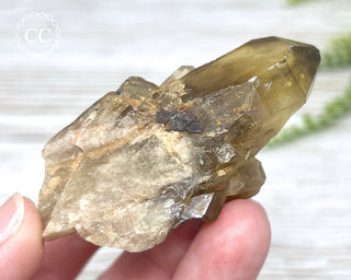 Congo Citrine #19