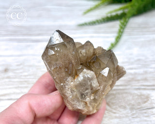 Congo Citrine #4