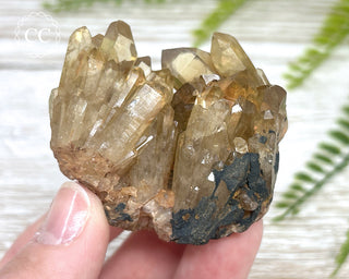 Congo Citrine #4