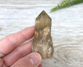 Congo Citrine #27