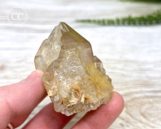 Congo Citrine #22
