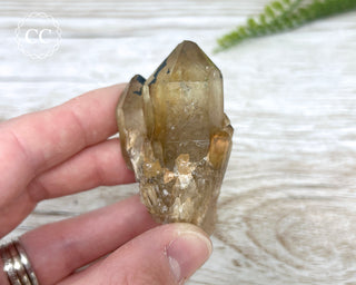 Congo Citrine #27