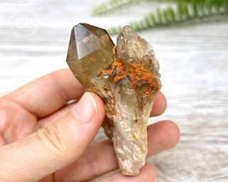 Congo Citrine #10