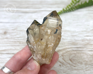 Congo Citrine #28