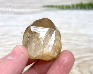 Congo Citrine #23