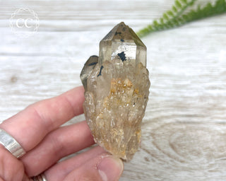 Congo Citrine #28