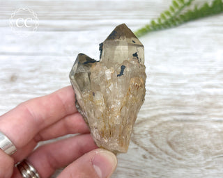 Congo Citrine #28