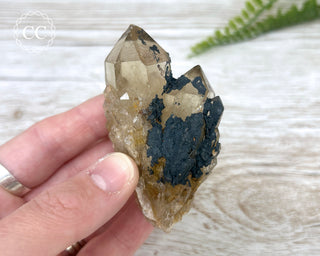 Congo Citrine #28