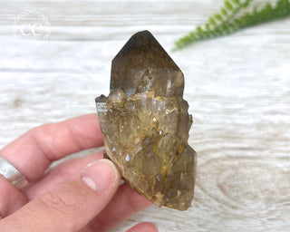 Congo Citrine #29