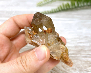 Congo Citrine #10