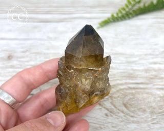 Congo Citrine #29