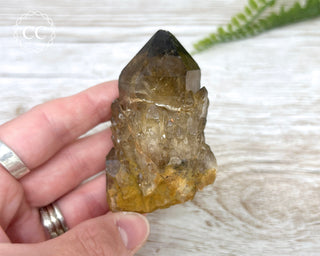 Congo Citrine #29