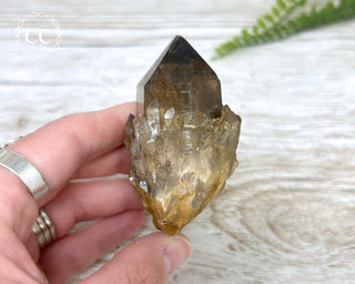 Congo Citrine #29