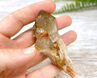 Congo Citrine #10
