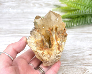 Congo Citrine #5