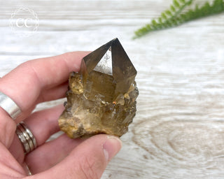 Congo Citrine #29