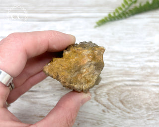 Congo Citrine #29