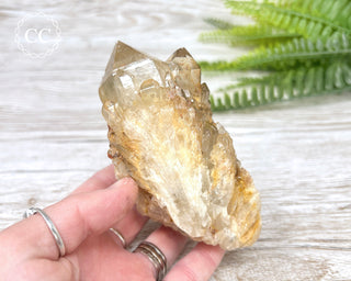 Congo Citrine #5