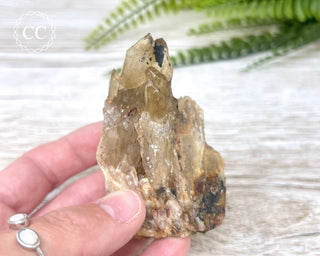 Congo Citrine #9