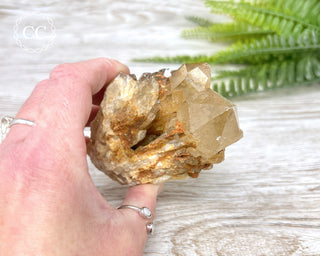 Congo Citrine #5