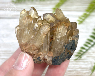 Congo Citrine #4