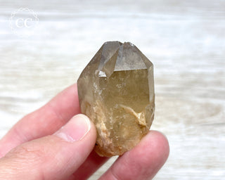 Congo Citrine #1