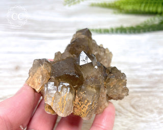 Congo Citrine #2