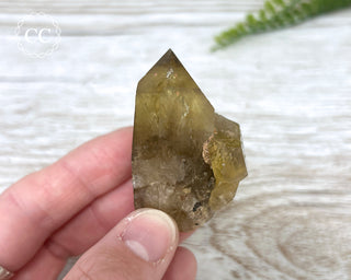 Congo Citrine #6