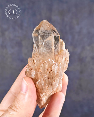 Congo Citrine #7