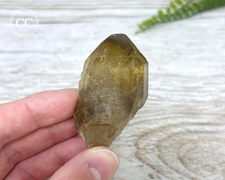 Congo Citrine #6