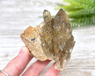 Congo Citrine #7