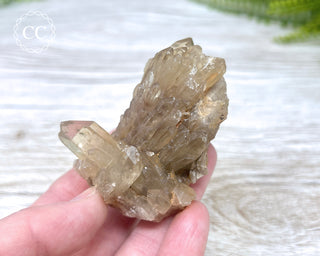 Congo Citrine #5