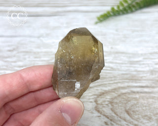 Congo Citrine #6